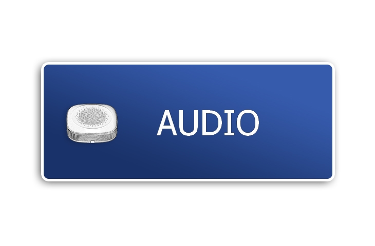 AUDIO